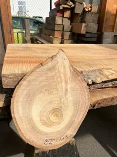 Eucalyptus